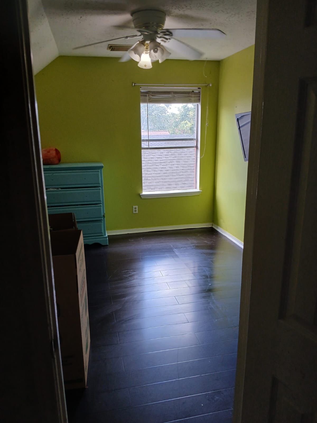 Regular home cleaning service